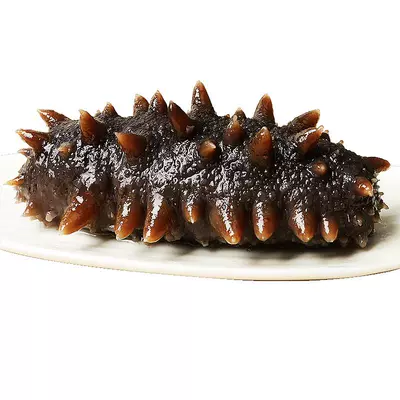 限购！即食海参1只顶6只！