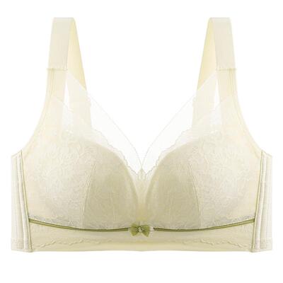 婷美蕾丝大胸显小提拉防下垂内衣