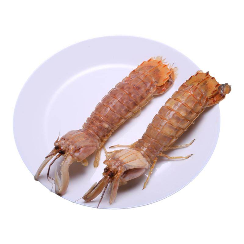 超大皮皮虾鲜活蒸熟发北海濑尿虾特大海鲜水产全母带膏新鲜虾爬子