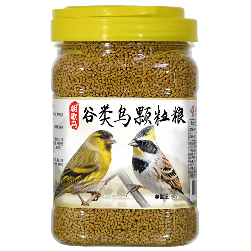 朝歌鸟谷类颗粒黄雀芙蓉