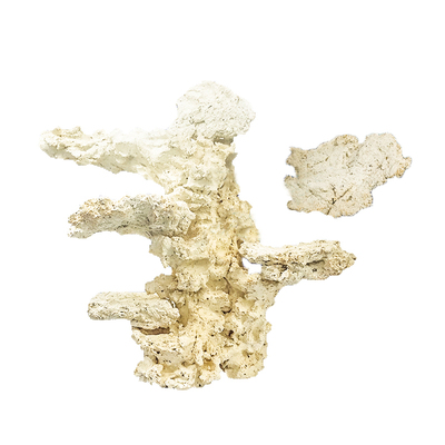 P牌造景石免暴藻送SPS原水含菌