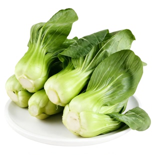 上海青新鲜农家蔬菜小青菜小油菜宁夏矮脚青仔供港青苗软糯清甜