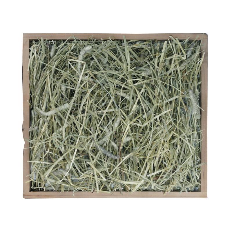 童话世界牧场兔子提摩西干草磨牙