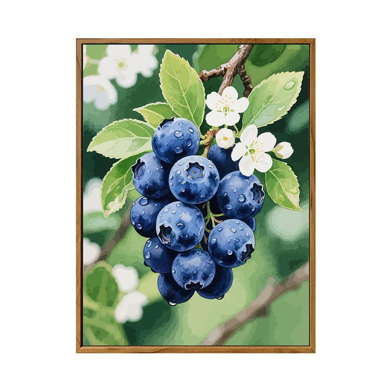 雅调diy新鲜蓝莓数字油画装饰画