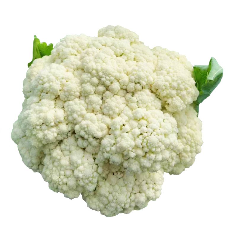 早熟寿光松花菜苗秧花椰菜紫花菜西兰花种子青梗散花特大花球四季