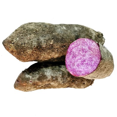 赣南紫山药新鲜脚板薯