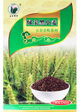 农家黑小麦东北芽苗菜绿宝