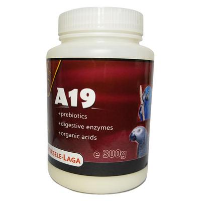 凡赛尔鹦鹉奶粉幼鸟A19高脂肪