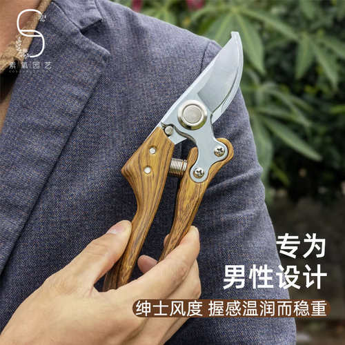 专业修枝剪园艺剪枝剪刀家用花艺工具园林果树强力粗枝剪弹簧