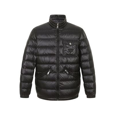 男装简约立领保暖羽绒服