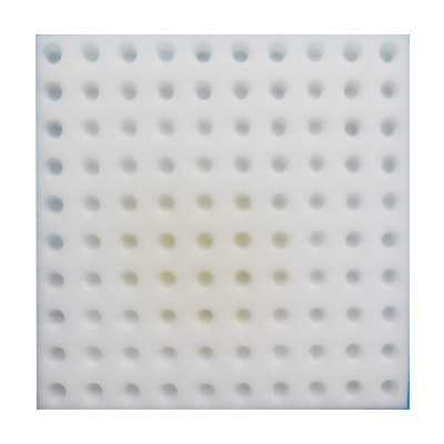 水培育苗海绵两色可选择10张包邮