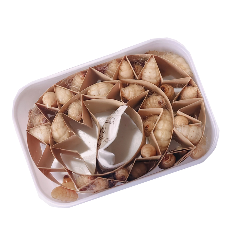 葡萄蜜虫活体玉米虫活虫大蜡螟鱼饵宠物绣眼画眉鸟食仓鼠爬宠饲料