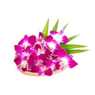 【槿馐】洋兰花250g新鲜杨兰花马兰花石斛兰点缀摆盘装饰花朵