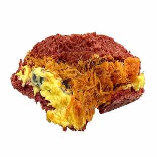 酱酪墨鱼辣松全麦软欧面包健康营养早餐代餐手作烘焙0添蔗糖0添油