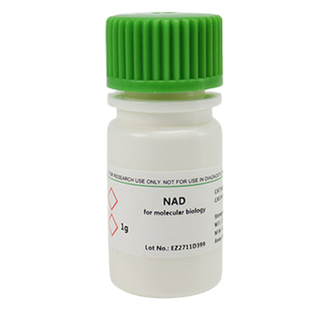 BioFroxx 1113MG100 氧化型辅酶I [NAD] 1158MG100 氧化型辅酶II NADP Na2 白色或浅黄色结晶粉末 科研试剂