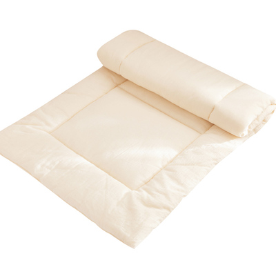 可定制新疆棉花幼儿园专用褥子学生垫被床褥儿童床垫宝宝床褥子