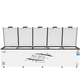 变频商用冷柜卧式大容量冰柜商用柜冷藏柜家商两用节能铜管电冰柜