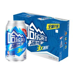 【王鹤棣推荐】哈尔滨啤酒哈啤冰纯拉罐330ml*24听易拉罐整箱批发