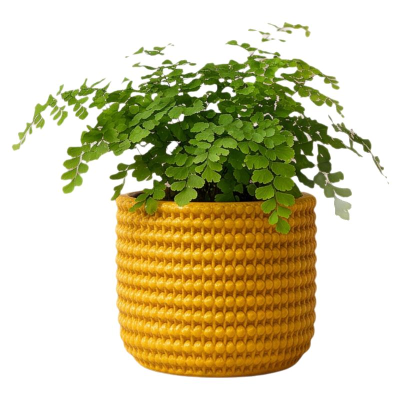 简约圆形编织水泥花盆桌面绿植种植盆栽阳台装饰托盘质感装饰盆