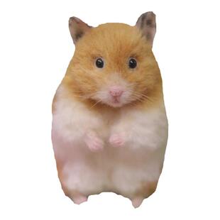 羊毛毡仓鼠仿真宠物定制可爱玩偶摆件戳戳乐成品DIY手工创意礼品