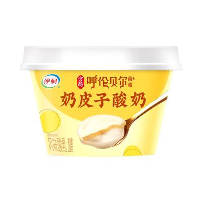 伊利宫酪奶皮子酸奶呼伦贝尔菌株