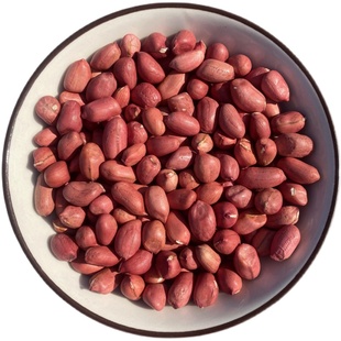 4斤2025年东北四粒红花生米 生的红皮衣小果仁 不带壳新货散装