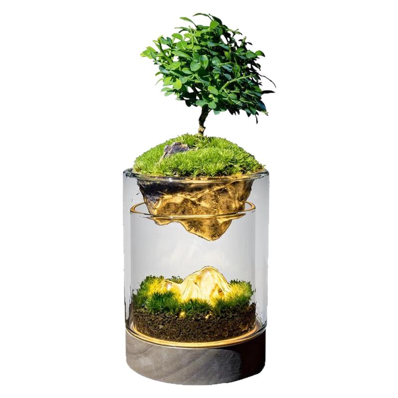 苔藓微景观生态瓶办公室内桌面绿植摆件DIY造景花卉盆栽生日礼物