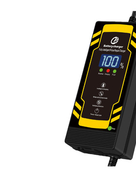 亿玲12伏单块电池智能数显充电器