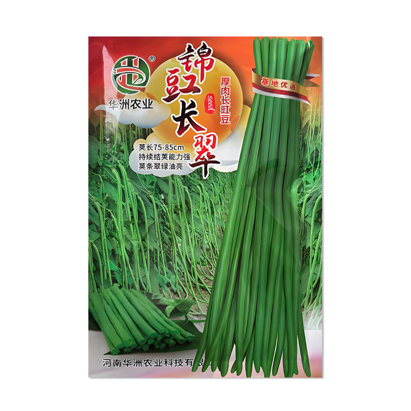 华洲锦豇长翠豇豆种子