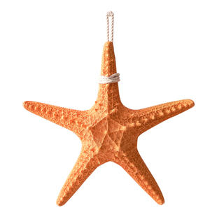 仿真树脂五指海星挂件地中海六角六指星家居墙壁装饰海洋沙滩壁饰