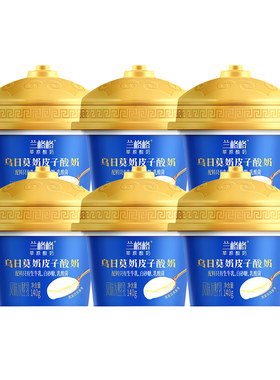 兰格格奶皮子酸奶草原酸奶140g