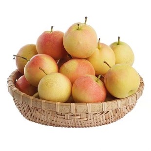 鞍山南果梨5斤海城南国梨东北特产小香水梨子大红果新鲜孕妇水果