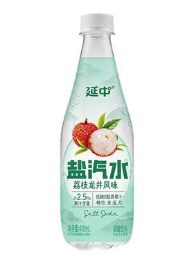 延中荔枝龙井风味汽水410ml*12