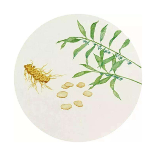 湖南安化多花九蒸九晒黄精冻干速溶茶粉2支体验装