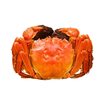 爆肥盘锦河蟹死蟹包赔