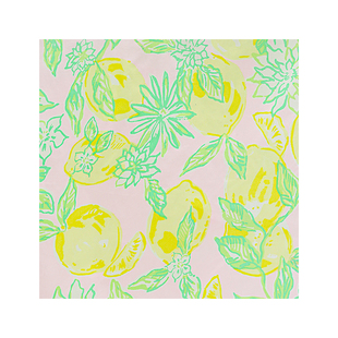 10姆米生丝绡网真丝印花布料100%桑蚕丝手工制作面料135-137CM