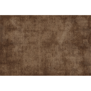 棕色入户门地垫高级感满铺地毯门垫进门大门口入门玄关脚垫可裁剪