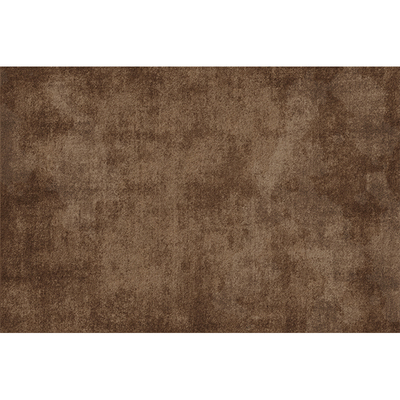 诗缇入户门玄关耐脏好打理地垫