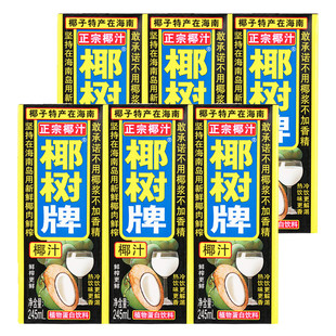 正宗椰树牌椰子汁整箱大盒植物蛋白饮料海南特产椰奶散装鲜果汁