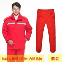 Комплект, красный чай улун Да Хун Пао, пуховик, штаны, вкладыш, 3 предмета