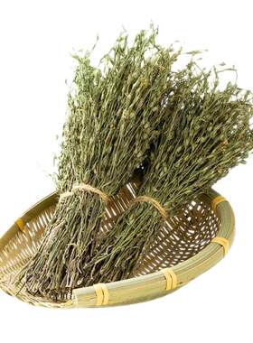 广西野生独脚金消疳积草小童煮汤水新鲜生晒官方旗舰草药独角消积