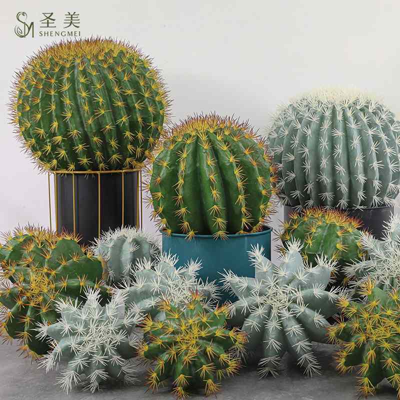 仿真仙人球盆栽北欧植物造景植陈列沙漠摆件假植装饰橱窗绿绿热带