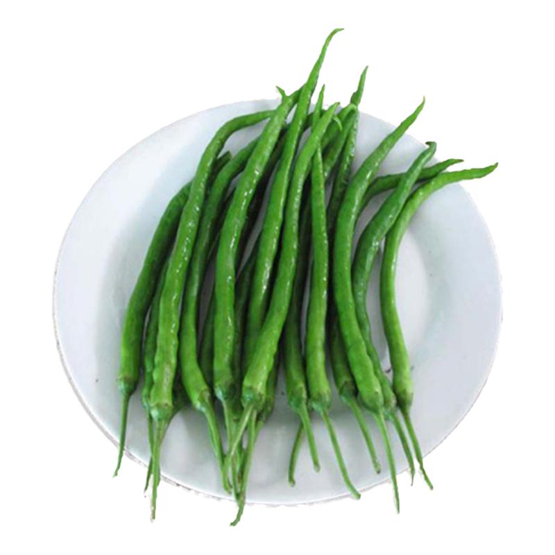 四川成都新鲜二荆条青椒薄皮