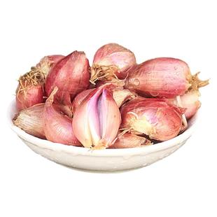 红葱头5斤大红皮干香葱头种头食用商用香料新鲜蔬菜农家小火葱头