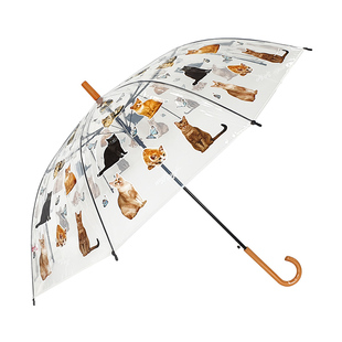 wiggle wiggle透明雨伞女半自动伞长柄直杆文彬同款雨伞可爱卡通