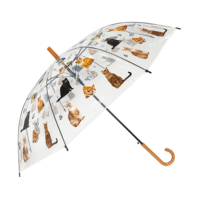 wigglewiggle透明雨伞女长柄卡通