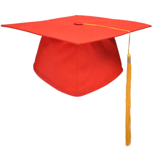 成人礼帽高中18岁典礼学士帽硕士学位导师博士帽定制校徽印制流苏