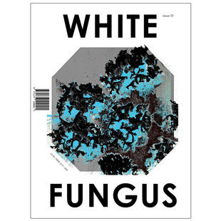 订阅 White Fungus银耳 前卫艺术杂志 台湾台中英文原版 年订1期 A112 年订1期