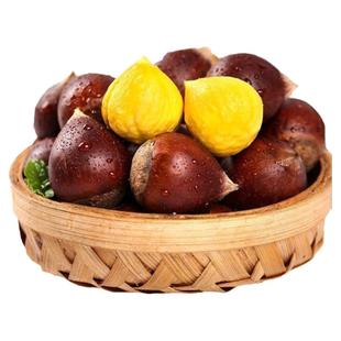 2025年新鲜建瓯锥栗板栗生新鲜野生油栗子高山农家现摘锥形毛栗子