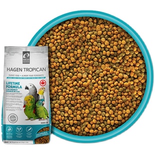 哈根哈利日常小号4mm鹦鹉鸟粮饲料合成粮灰机折衷4磅 CG26-10